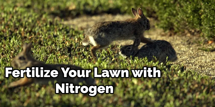 How to Repair Lawn Damaged by Rabbits