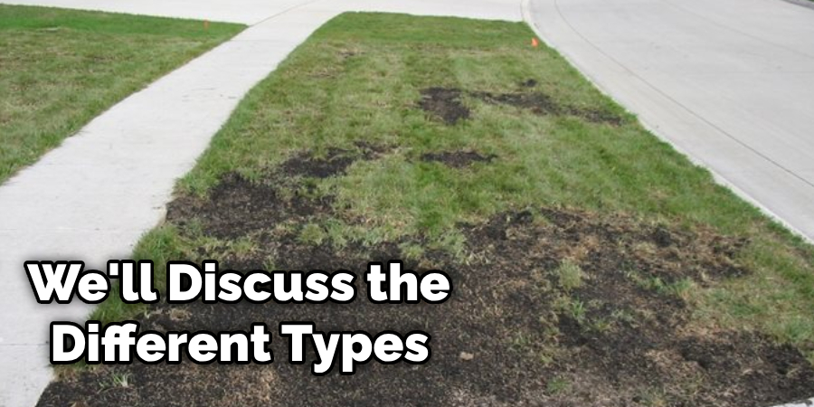 How to Repair Lawn Damaged by Rabbits